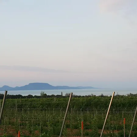 Ferienhaus Alexandra * Balatonbereny